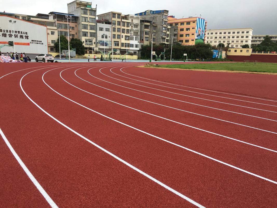 东莞市橡胶跑道塑胶跑道材料 - 推荐